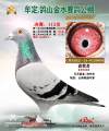 图片暂时未上传