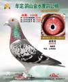 图片暂时未上传