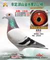 图片暂时未上传