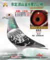 图片暂时未上传