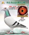 图片暂时未上传