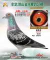 图片暂时未上传