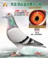 图片暂时未上传