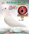 图片暂时未上传