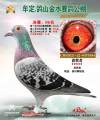 图片暂时未上传