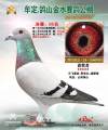 图片暂时未上传