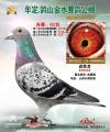 图片暂时未上传