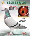 图片暂时未上传