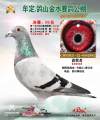 图片暂时未上传