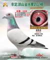 图片暂时未上传