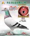 图片暂时未上传