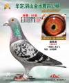 图片暂时未上传