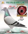 图片暂时未上传