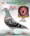 图片暂时未上传