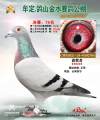 图片暂时未上传