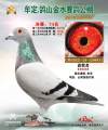 图片暂时未上传
