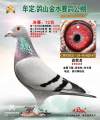 图片暂时未上传