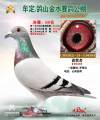 图片暂时未上传