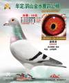 图片暂时未上传