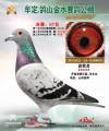 图片暂时未上传