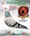 图片暂时未上传