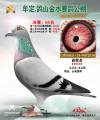 图片暂时未上传