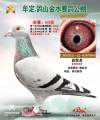 图片暂时未上传