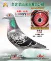 图片暂时未上传