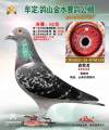 图片暂时未上传