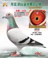 图片暂时未上传