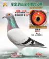 图片暂时未上传