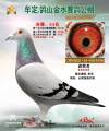 图片暂时未上传