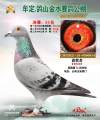 图片暂时未上传