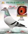 图片暂时未上传