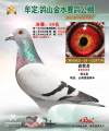 图片暂时未上传