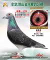 图片暂时未上传