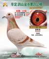 图片暂时未上传