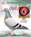 图片暂时未上传