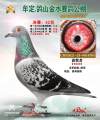 图片暂时未上传