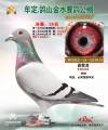 图片暂时未上传