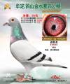 图片暂时未上传
