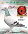 图片暂时未上传