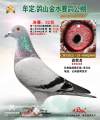 图片暂时未上传