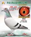图片暂时未上传