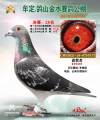 图片暂时未上传