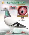 图片暂时未上传