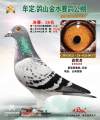 图片暂时未上传