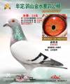 图片暂时未上传