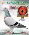 图片暂时未上传