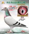 图片暂时未上传
